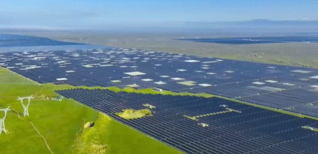 609890cdcd8c67dc072d47f6e257df62_1741930228_5028.GIF